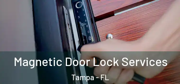 Magnetic Door Lock Services Tampa - FL
